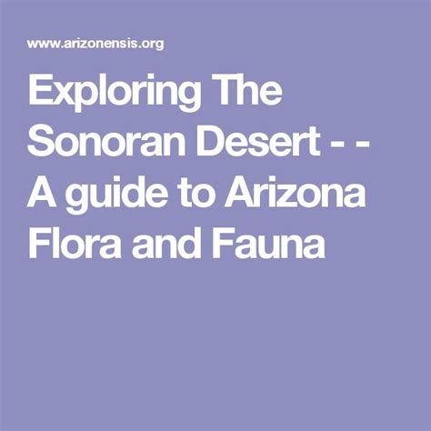 The Magic Circle in Arizona: A Legendary Destination for Explorers